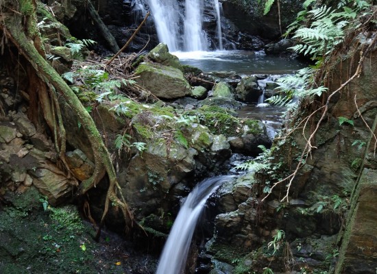 「京都の自然２００選」鴨谷の滝