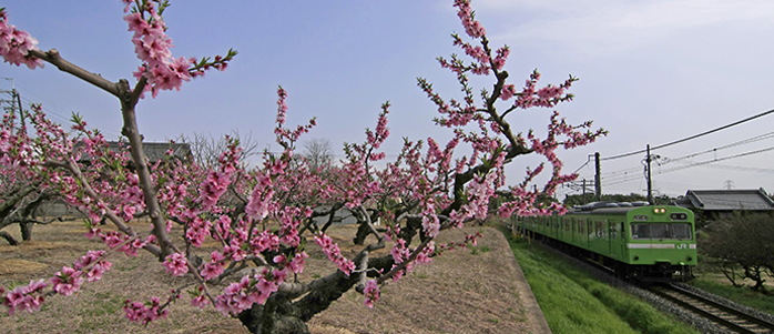 ＪＲ新田駅周辺の観光写真