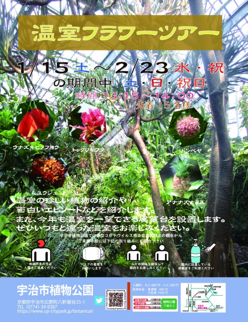 宇治市植物公園 温室フラワーツアー