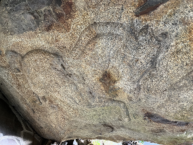 駒岩 （こまいわ）の彫刻左馬